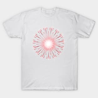 Fireworks !!!! T-Shirt